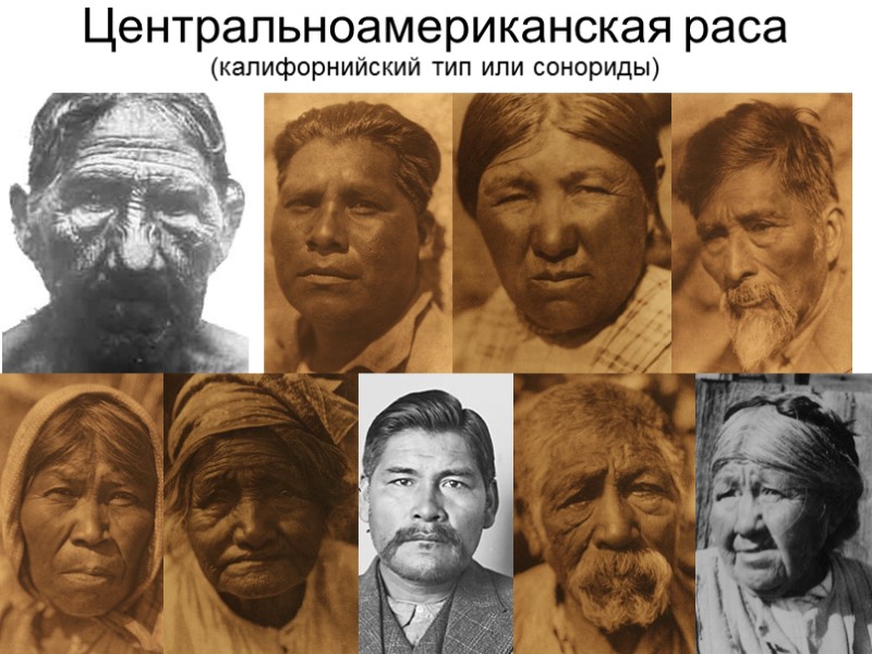 Центральноамериканская раса (калифорнийский тип или сонориды)